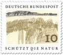Stamp: Schilf am See
