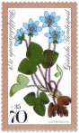 Stamp: Leberblümchen (Waldblume)