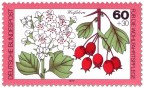 Stamp: Weissdorn Blatt und Frucht