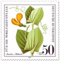 Stamp: Ranken-Platterbse (Wildkraut)