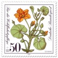 Stamp: Seekanne (Pflanze)