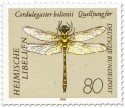 Stamp: Zweigestreifte Quelljungfer (Cordulegaster boltonii)