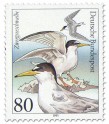 Stamp: Zwergseeschwalbe