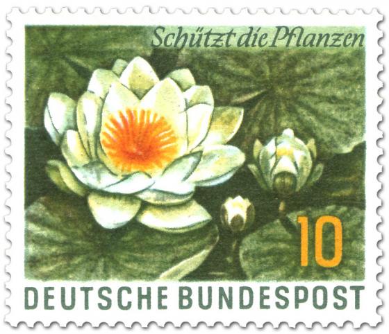 Briefmarke: Weiße Seerose - Schützt die Pflanzen