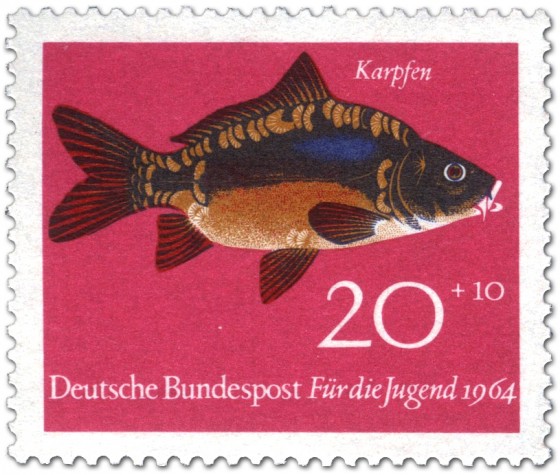 Fisch Karpfen Cyprinus Carpio Briefmarke 1964