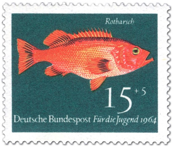 Briefmarke: Fisch: Rotbarsch (Sebastes Marinus)