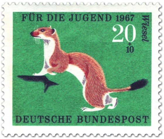 Briefmarke: Wiesel (Hermelin)