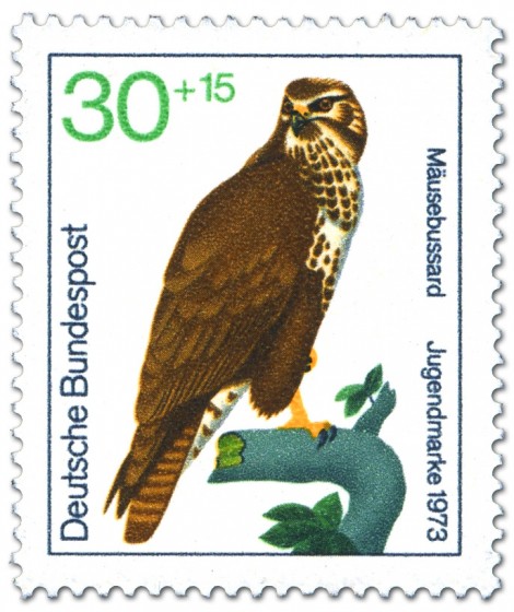 Briefmarke: Mäusebussard