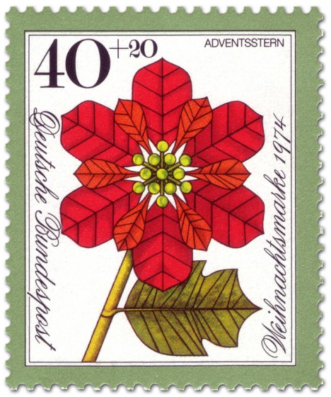 Briefmarke: Roter Weihnachtsstern (Weihnachtsmarke 1974)