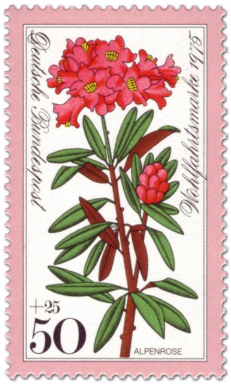 Briefmarke: Rote Alpenrose