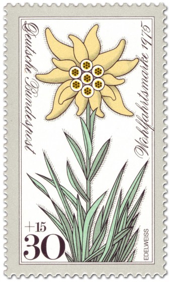 Briefmarke: Edelweiß (Blume)