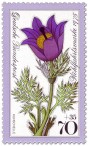 Briefmarke: Gewöhnliche Kuhschelle (Pulsatilla vulgaris)