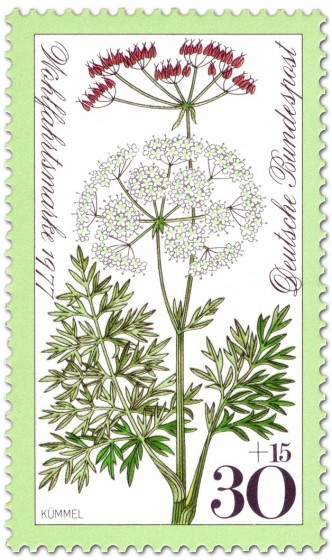 Briefmarke: Kümmel Wiesenblume