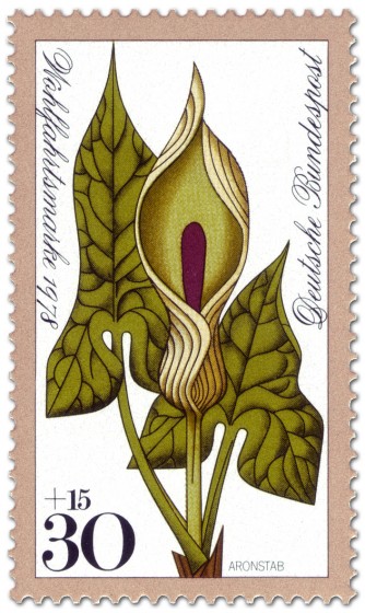 Briefmarke: Aronstab (Waldblume)