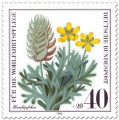 Briefmarke: Hornköpfchen (Wildkraut)