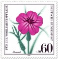 Briefmarke: Kornrade Blüte (Wildkraut)