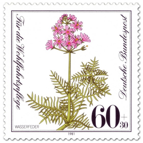 Briefmarke: Wasserfeder (Pflanze)