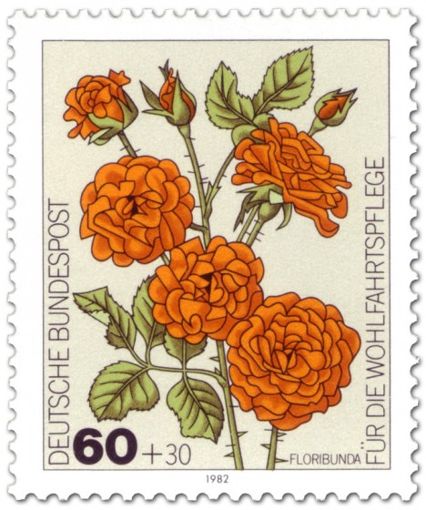 Briefmarke: Floribunda-Rose