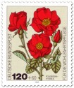 Briefmarke: Rote Rosen: Polyantha-Hybride