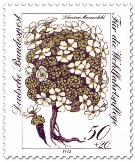 Briefmarke: Schweizer Mannsschild