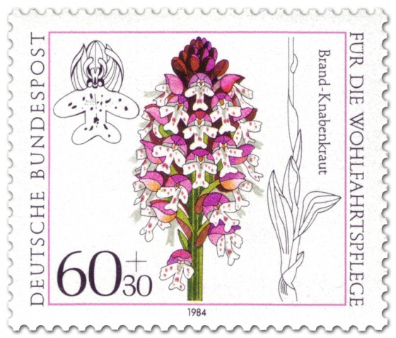 Briefmarke: Brand Knabenkraut (Orchidee)