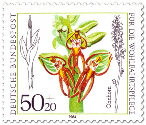 Briefmarke: Ohnhorn (Orchidee)