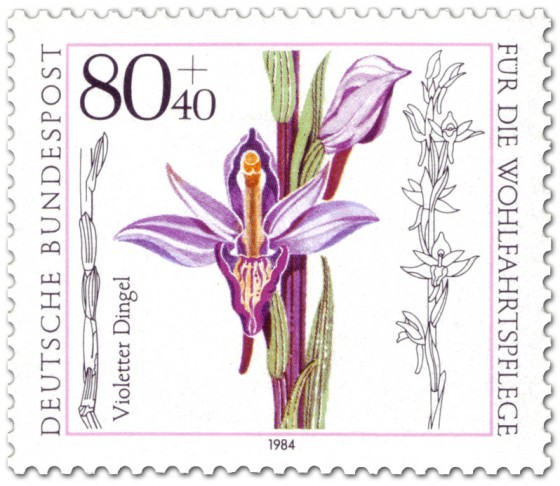 Briefmarke: Violetter Dingel Orchidee