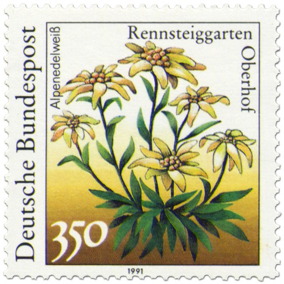 Briefmarke: Alpenedelweiss