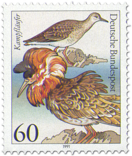 Briefmarke: Kampfläufer (Seevogel) Briefmarke: Kampfläufer (Seevogel)