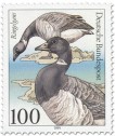 Briefmarke: Ringelgans
