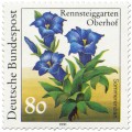 Briefmarke: Sommerenzian